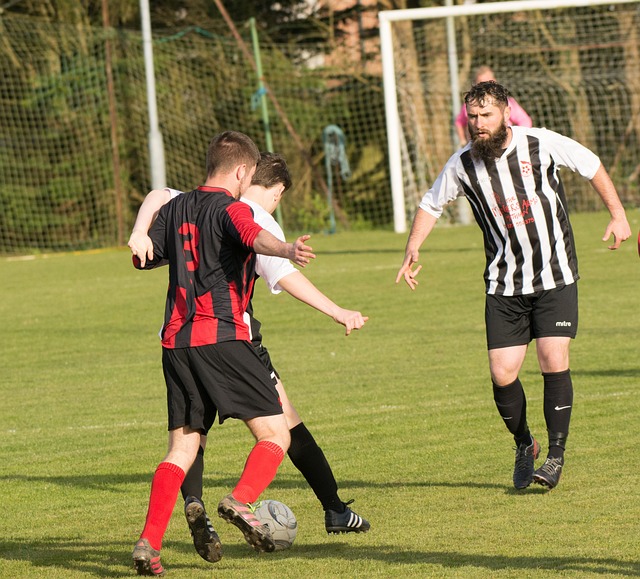 令球迷满怀 令球迷满怀