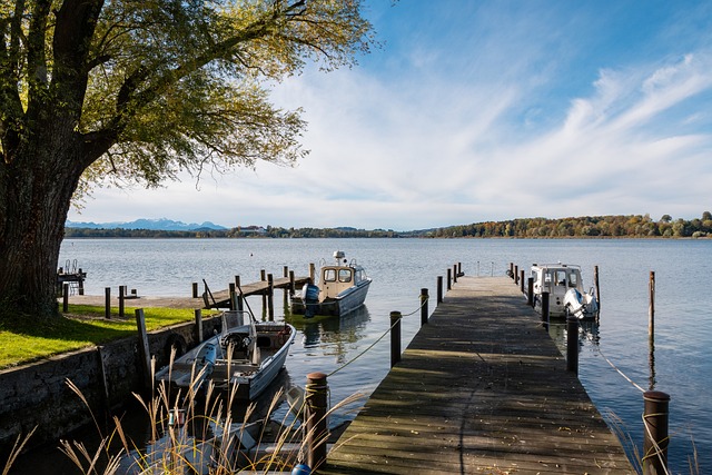 情进入我的 情进入我的