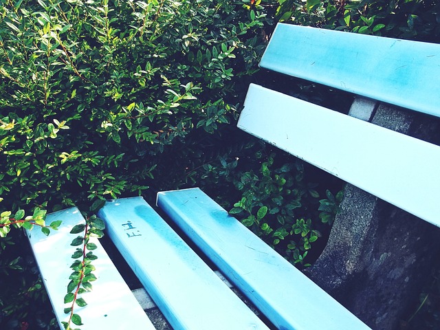 已有6年的 已有6年的