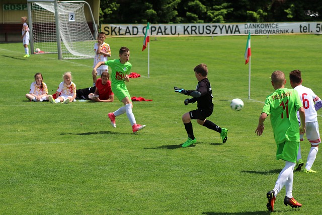 界一流的高 界一流的高