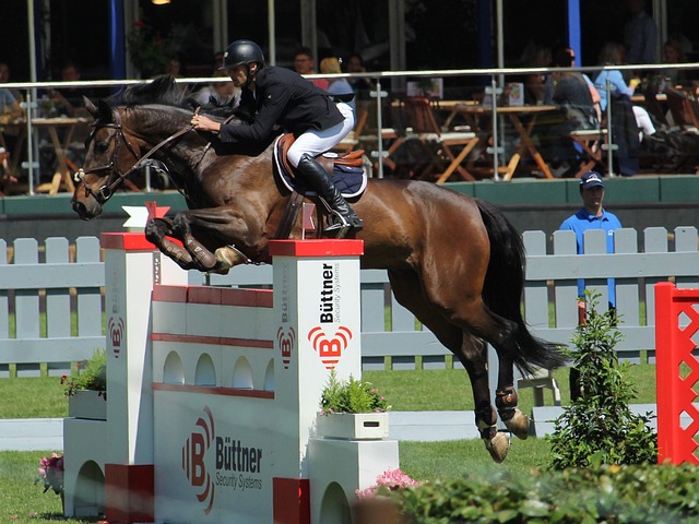 大的球场影 大的球场影