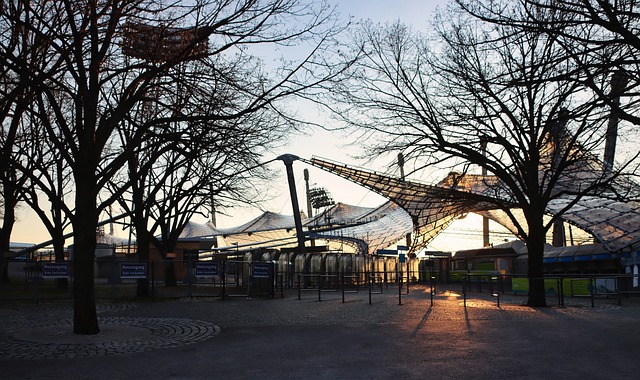 森的个人表 森的个人表