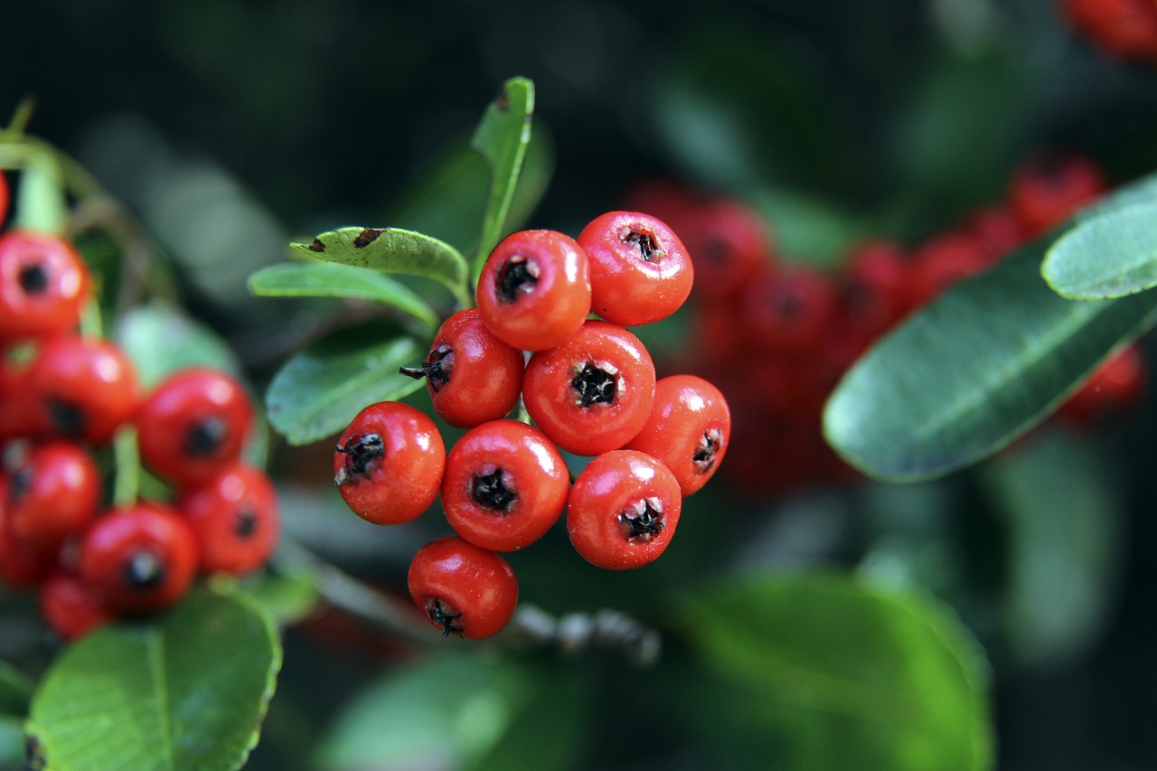 这两位年轻 这两位年轻